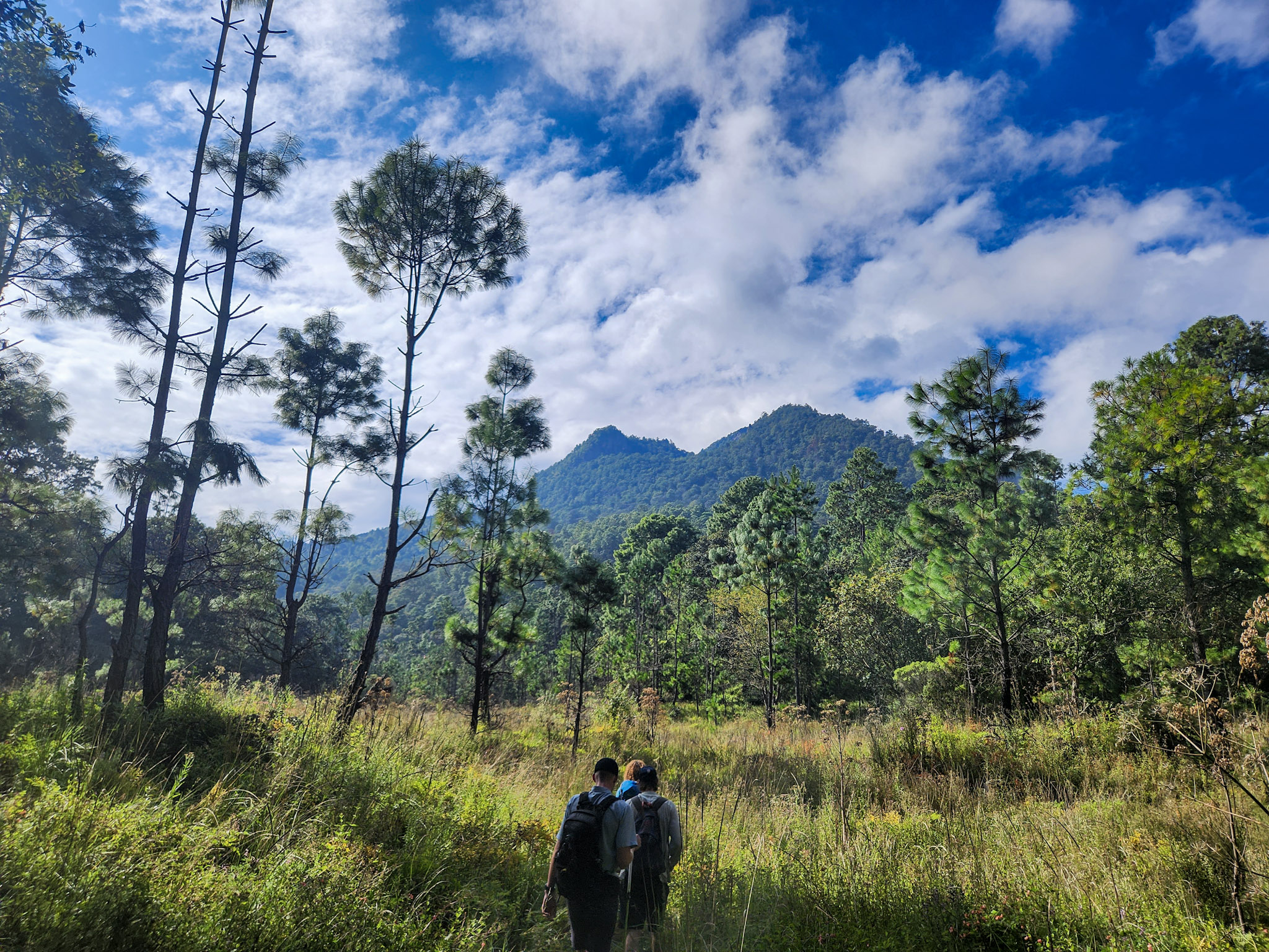 Approaching Cerro Quemado.