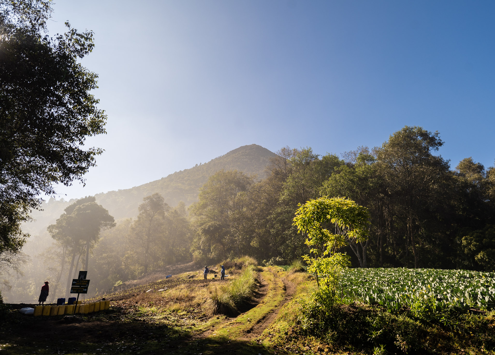 Farmland on the approach up the volcano.