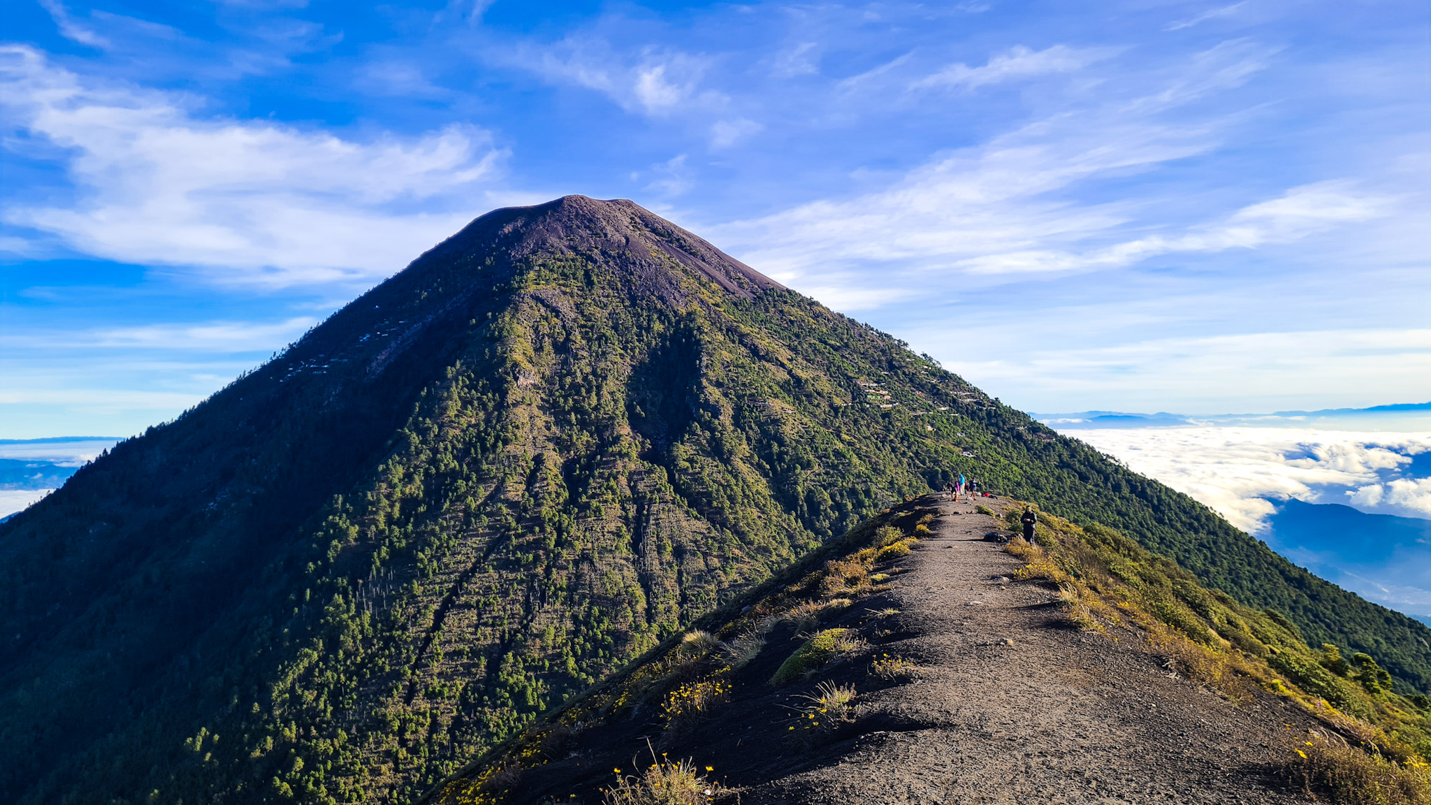 Acatenango seen from Volcán de Fuego.